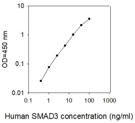 Human SMAD3 ELISA