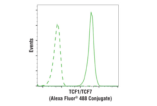 TCF1/TCF7 (C63D9) Rabbit mAb (Alexa Fluor 488 Conjugate)