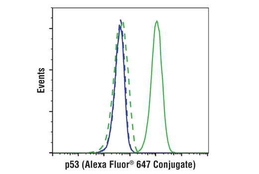 p53 (1C12) Mouse mAb (Alexa Fluor 647 Conjugate)