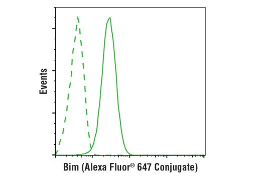 Bim (C34C5) Rabbit mAb (Alexa Fluor 647 Conjugate)