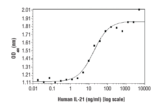 Human Interleukin-21 (hIL-21)