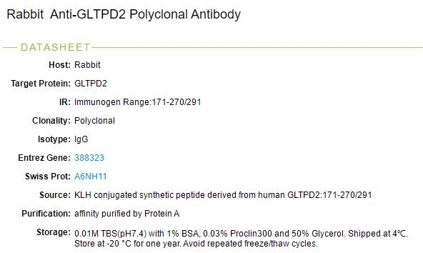 糖脂转移蛋白结构域2抗体