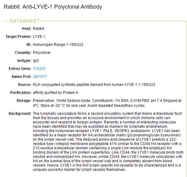 淋巴管内皮透明质酸受体抗体