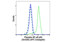 Phospho-NF-kappaB p65 (Ser536) (93H1) Rabbit Monoclonal Antibody (APC Conjugate)